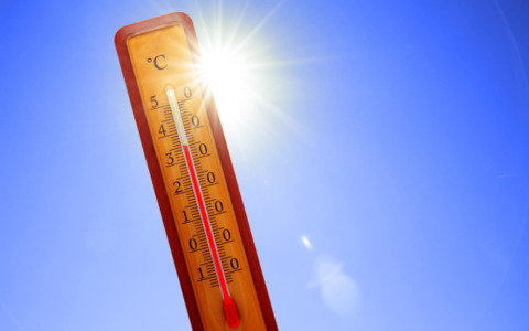 Emergenza caldo: informazioni utili per la prevenzione