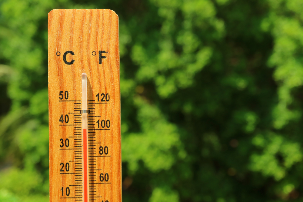Caldo torrido in Lombardia: temperature vicine ai 40 gradi