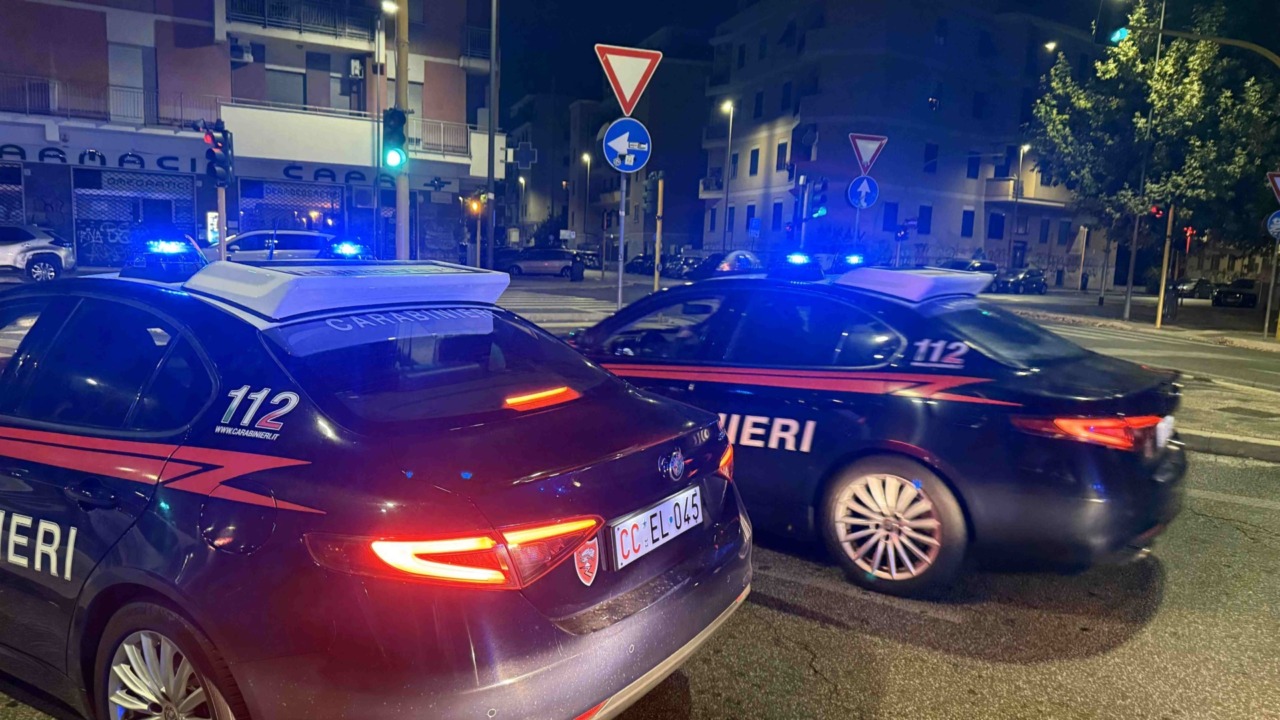 Cremona, chiusi due allevamenti abusivi: sequestrati 122 cani