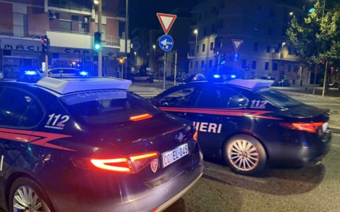 Cremona, chiusi due allevamenti abusivi: sequestrati 122 cani