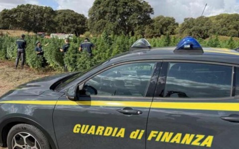 Formazione e legalità: incontro tra Confcommercio e Guardia di Finanza