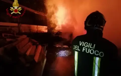 Ramo cade su viale Trento e Trieste: strada bloccata