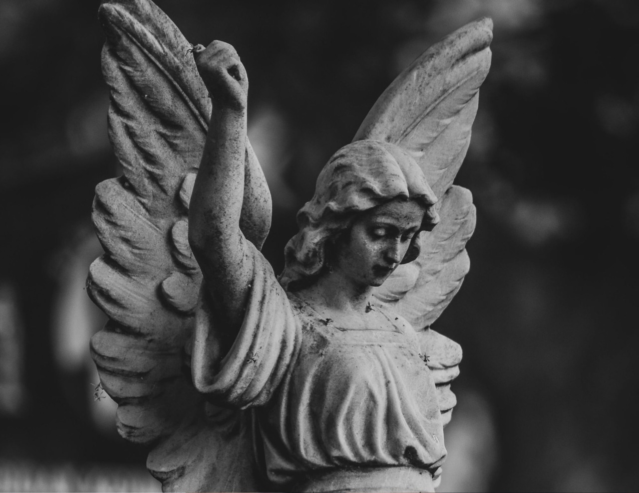 Nuove panchine all’ingresso secondario del cimitero di Cremona