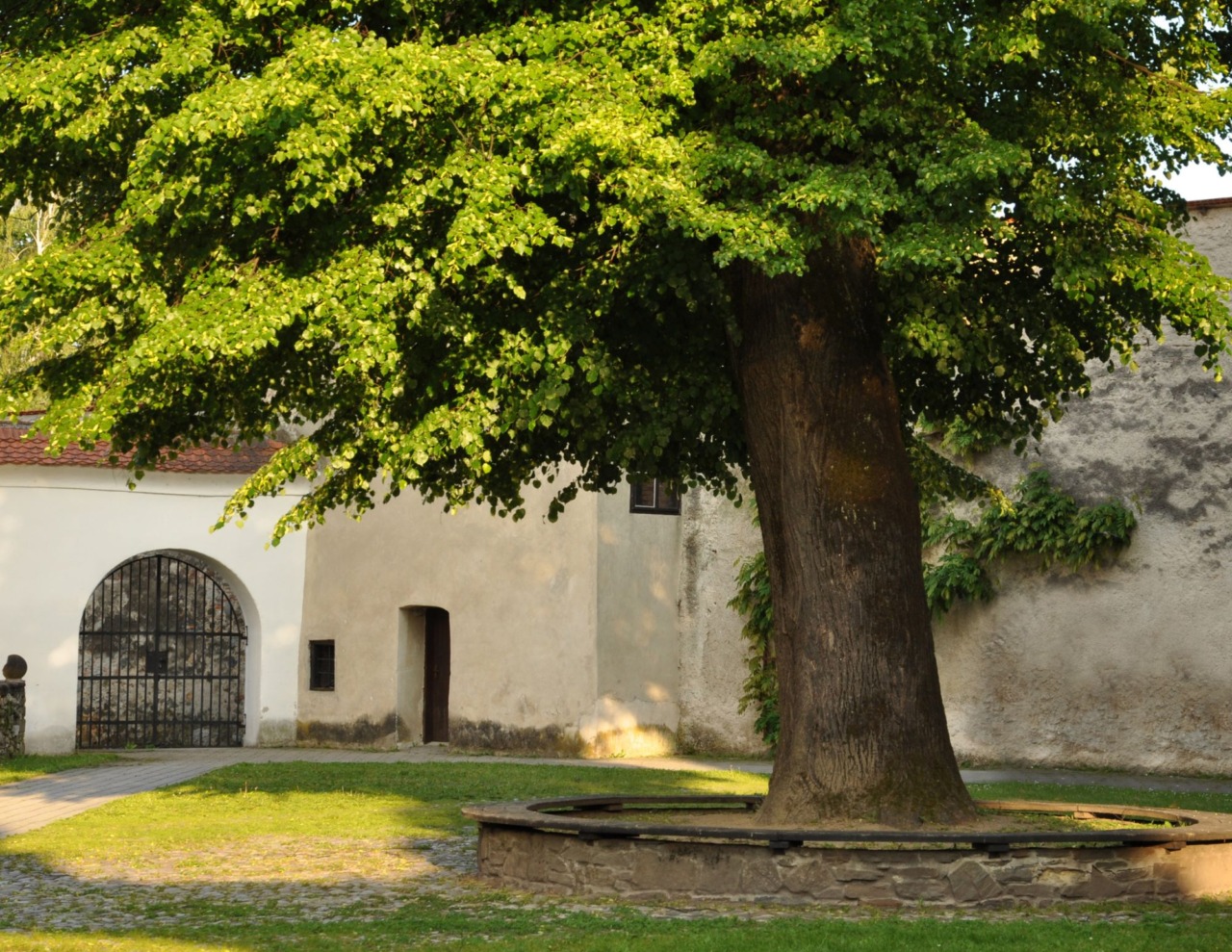 Via Aselli, il Comune recupera cortili e giardini interni